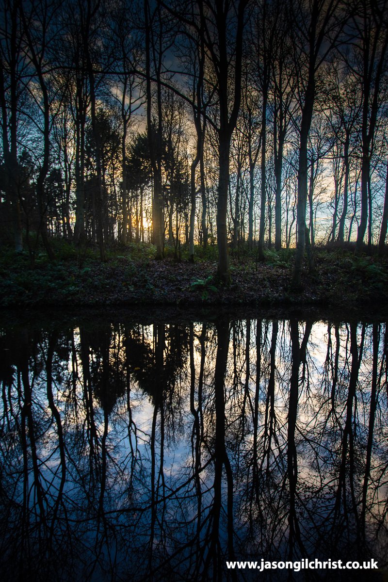 Reflection of trees. The Union Canal, nr. Winchburgh, West Lothian, Scotland, at sunset. Fae last week. #sunset #reflection #trees #UnionCanal #Winchburgh #WestLothian #Scotland #StormHour #ThePhotoHour #landscape #ScotlandIsNow