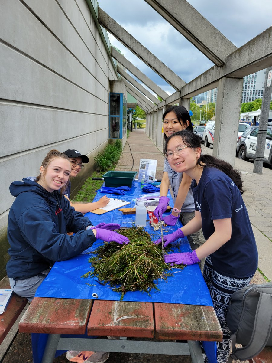 U of T Trash Team 🦝 tweet media