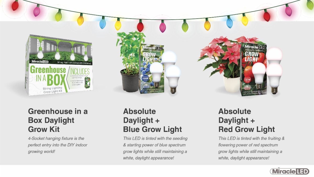 its winter 
its cold, its dark ... 
why not gift one of our Full Spectrum Daylight Grow Lights?! 
#plantmom #lightbulbmoments #brightboldhome #verticalgrowing #herbgardener #recycler #ediblegardening #urbanagriculture #kitchengarden #sustainableproducts #gardeninspo #gardencity