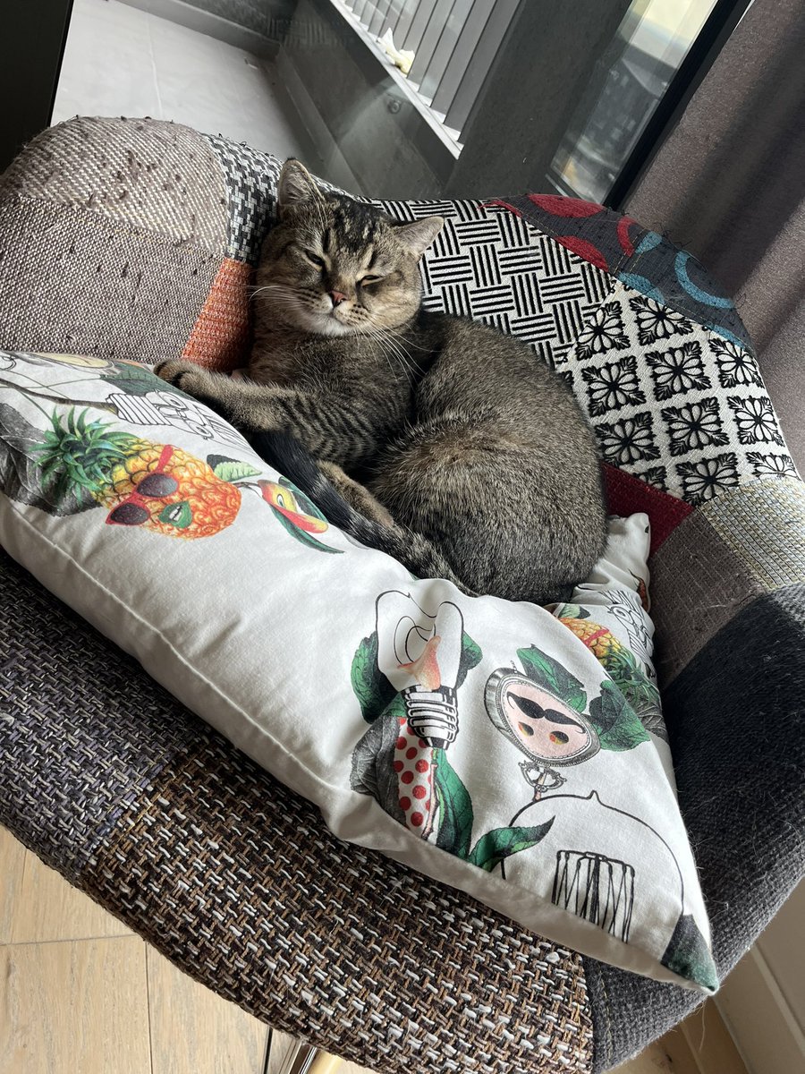 oy benim gerizekalı bebelerim çok seviyom he çokkkk🤤