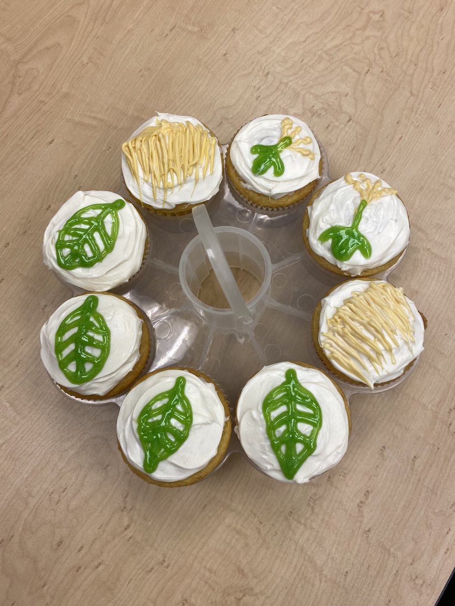 Ecosystems Lab tweet media