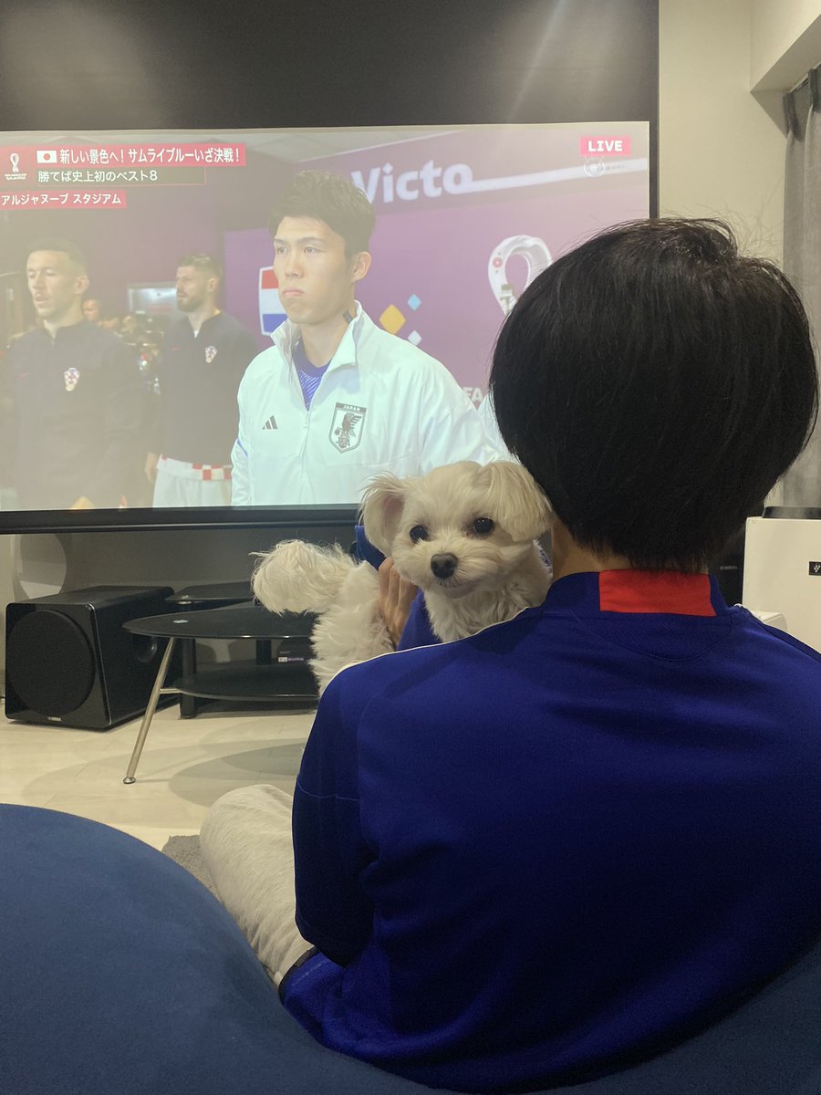 babbi0121's tweet photo. 応援してたでちゅよ🫰🏻❤︎

#FIFAWorldCup #Qatar2022 https://t.co/oKwjtZGPF1