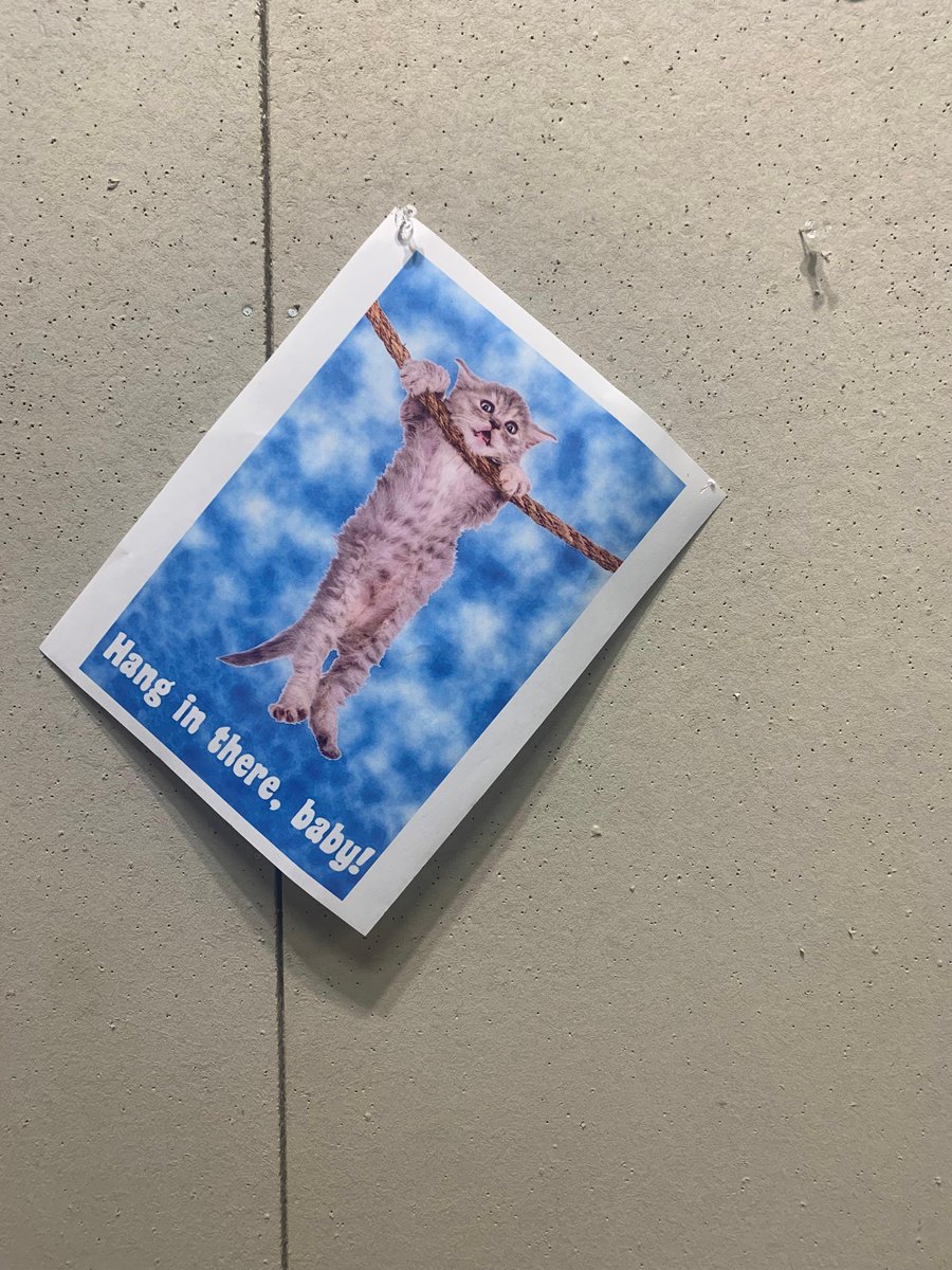 USM_SPVA tweet media