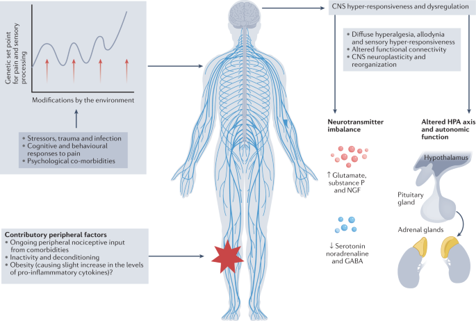 NatRevRheumatol tweet picture