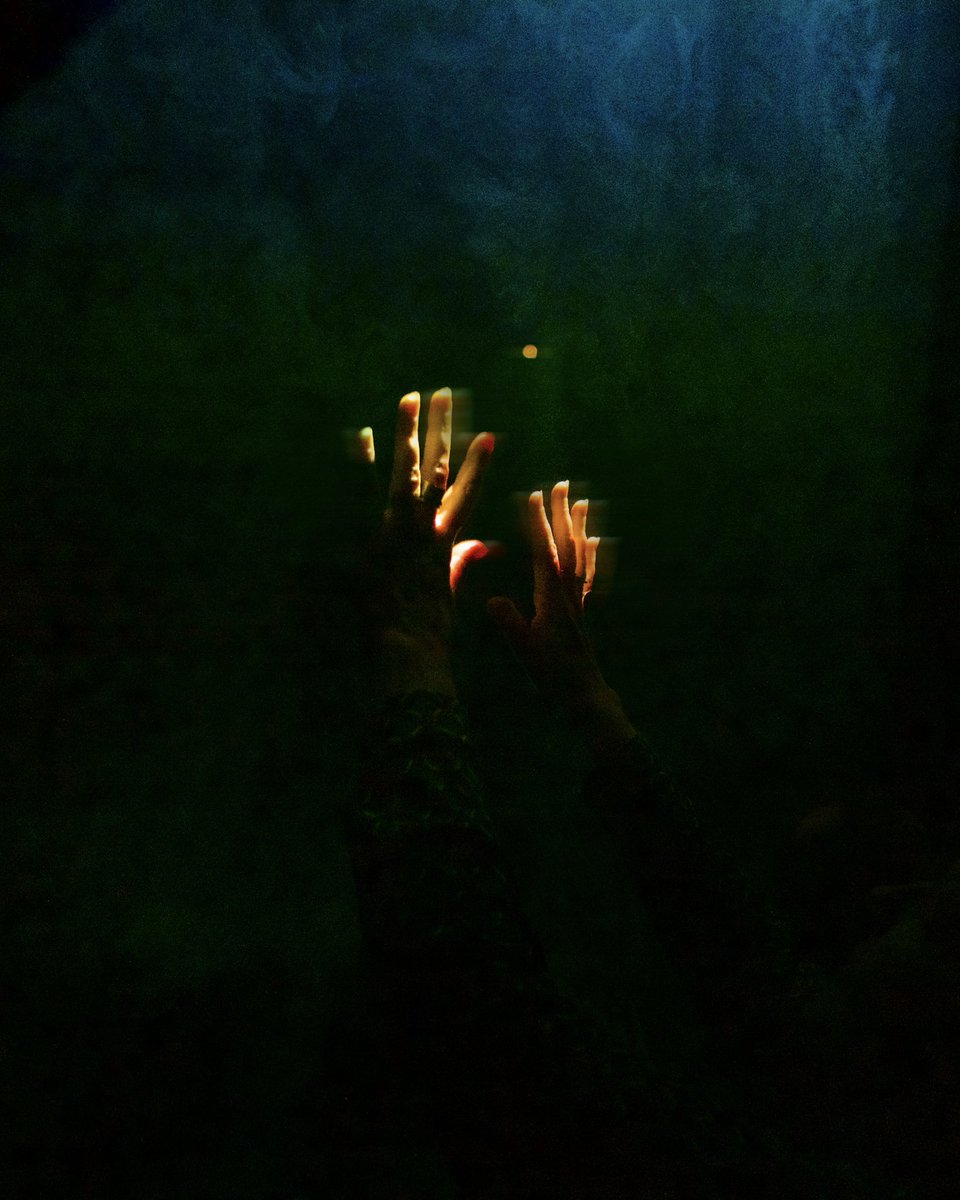 sterrestardust's tweet photo. Just reach out for the light #photography https://t.co/xuLSXs44Ie
