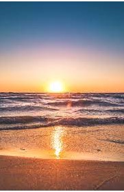 Than_beach's tweet photo. Be sure to checkout the site for the best beach products and ideas!

#ad #store #beach #shop #beachwear https://t.co/3tHOEOPUHP