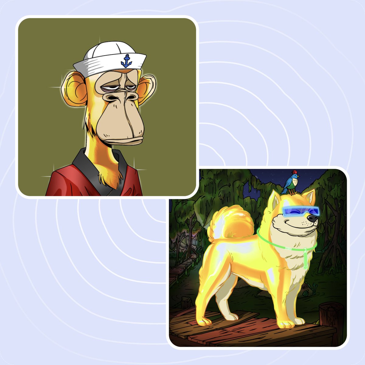 Keungz ❤️ WELL3 (@keung) on Twitter photo My Gold <a href="/BoredApeYC/">Bored Ape Yacht Club 🍌</a> pairs with this grail BAKC#4261 today! Ready to stake now! My Gold <a href="/BoredApeYC/">Bored Ape Yacht Club 🍌</a> pairs with this grail BAKC#4261 today! Ready to stake now!