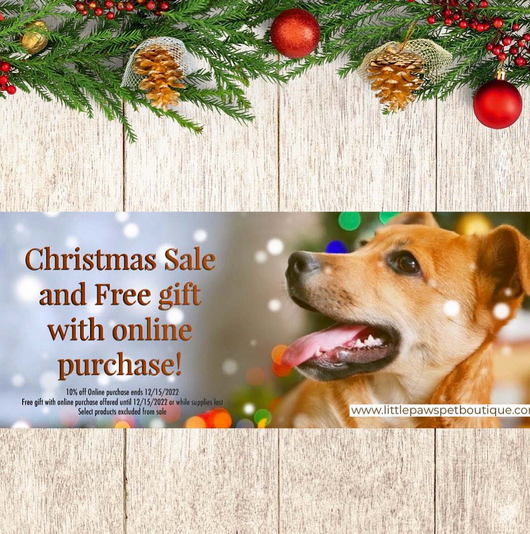 GidgetLPPB's tweet photo. Celebrate the Paw-Lidays! https://t.co/18xVeMTp6A https://t.co/316QwuP0V0