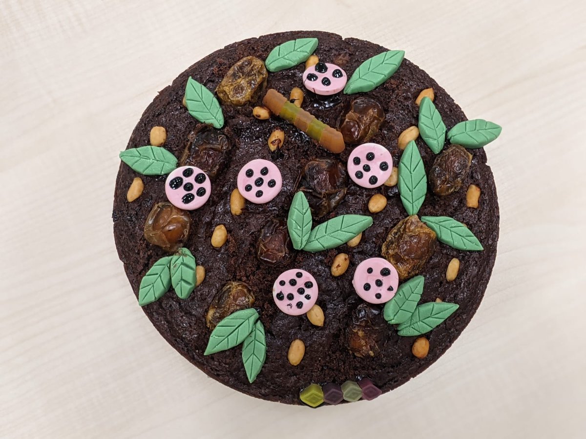 AnaNatalio's tweet photo. For #WorldSoilDay, Katie, Beth and I had a go at baking a Eutric Lamellic Arenosol cake with a potato crop and beaming with fungi and invertebrates!

#Soils4Nutrition #FromSoilToPlate
#WSD22 #DiaMundialDoSolo
1/3 https://t.co/1j2xoPcfmX