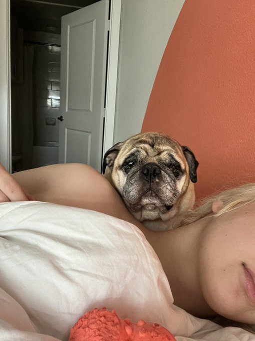 Reunited with my little old man 💗 https://t.co/i15rPoW4AS<a href="/tag/porn"class="tags"><span>#porn</span></a><a href="/tag/goddess"class="tags"><span>#goddess</span></a><a href="/tag/blonde"class="tags"><span>#blonde</span></a><a href="/tag/ass"class="tags"><span>#ass</span></a><a href="/tag/sugarbaby"class="tags"><span>#sugarbaby</span></a><a href="/tag/nsfw"class="tags"><span>#nsfw</span></a><a href="/tag/tits"class="tags"><span>#tits</span></a>