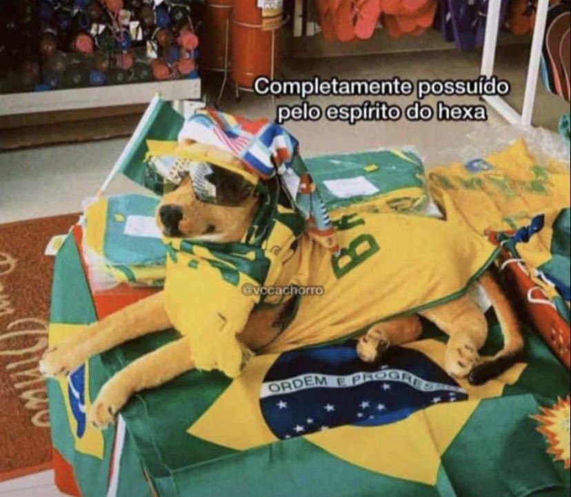 DeSciBrazil's tweet photo. In Brazil, we don't say "I love you". We say "completamente possuído pelo espírito do hexa" and I think that's beautiful https://t.co/RWClEYojol