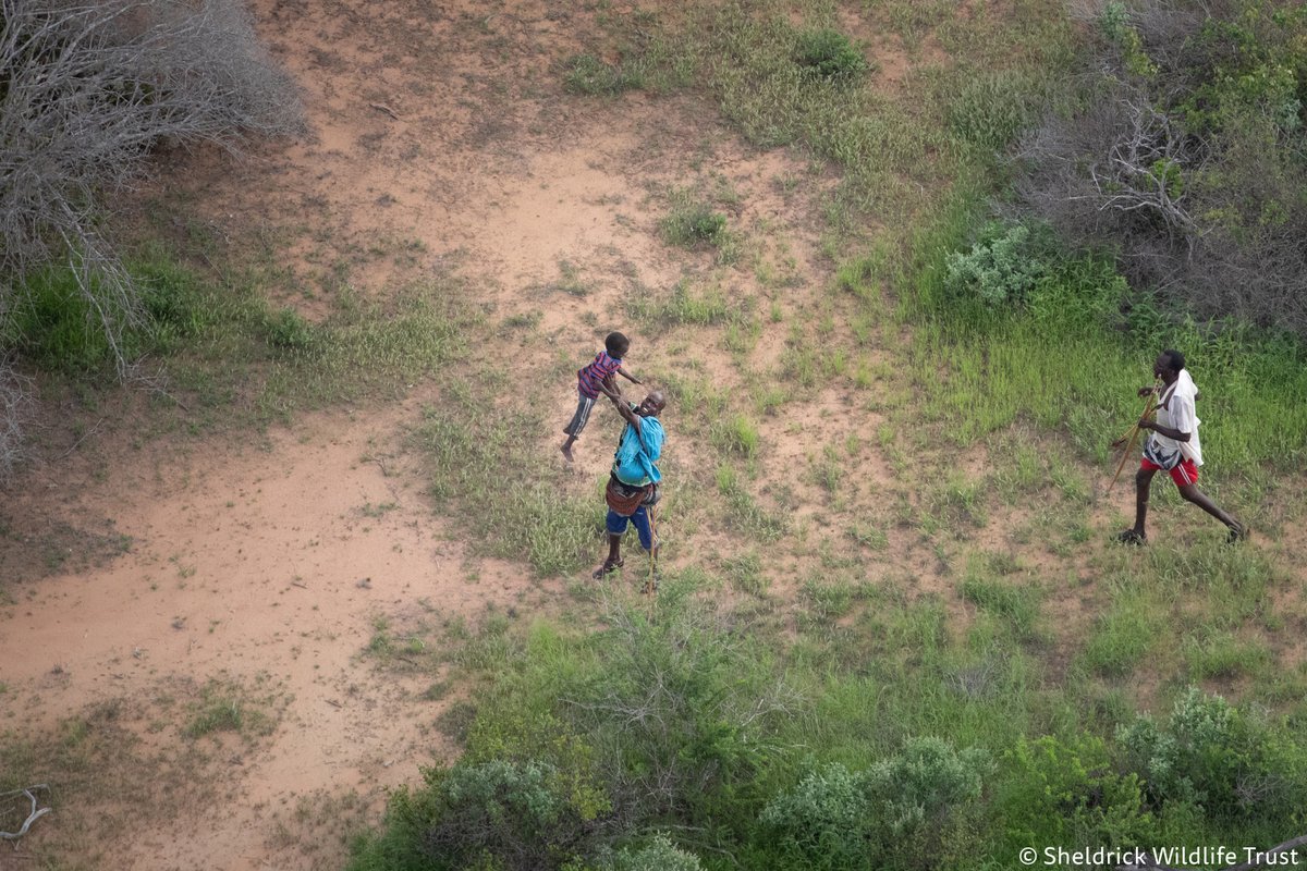 SheldrickTrust's tweet photo. Miraculous search &amp; rescue: Wildlife is at the heart of what we do, &amp; that means supporting communities living alongside it. Days after locating a lost child, we were asked to help find a 4 yr old boy. Missing for 6 days in an area with hyenas &amp; jackals!! https://t.co/CRG4eAC9f3 https://t.co/LQ47Yddxq9