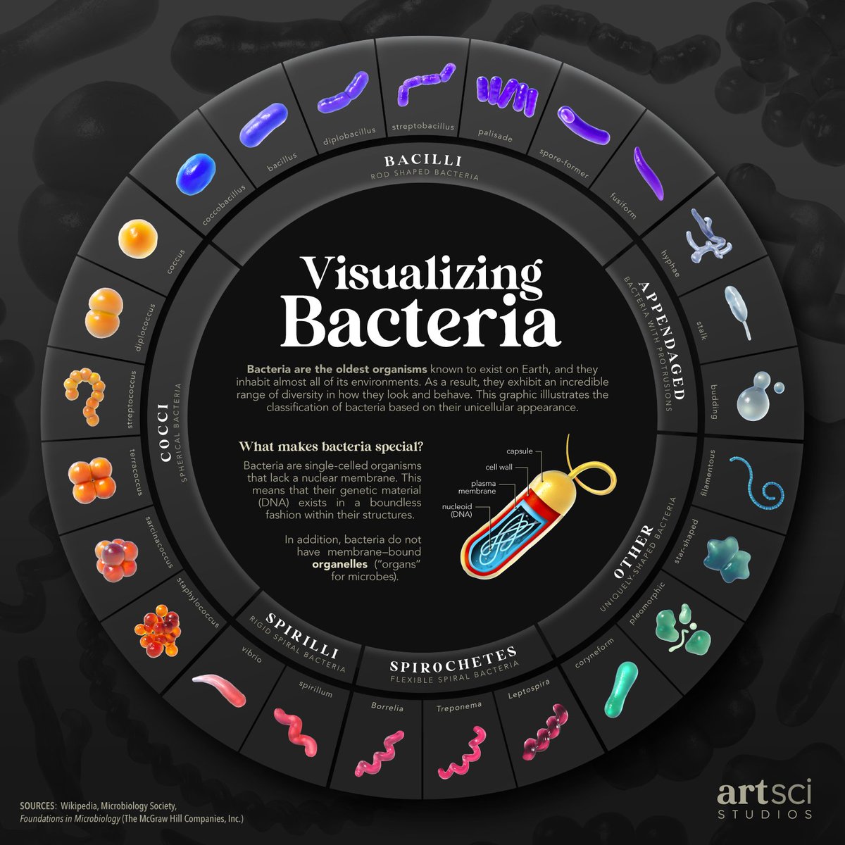 mark belan | science illustrator + info designer tweet media