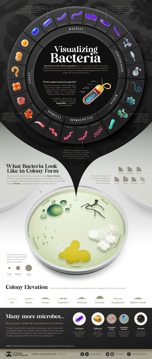 mark belan | science illustrator + info designer tweet media