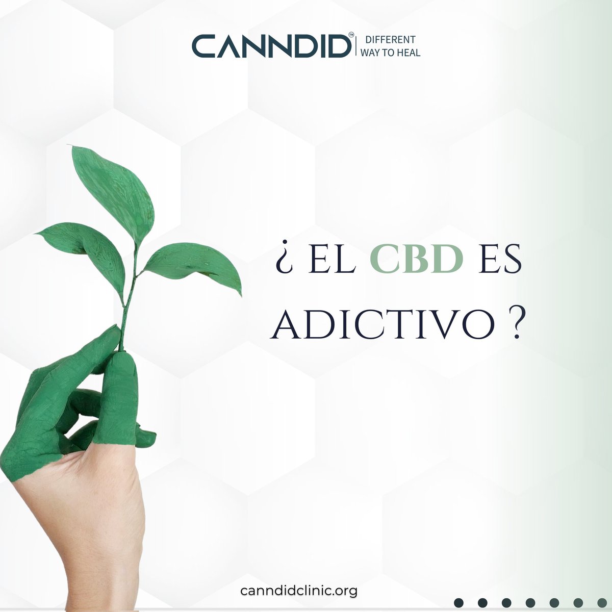 CanndidM's tweet photo. La OMS sobre el uso de CBD: no es adictivo, ni nocivo para la salud y tiene multitud de propiedades terapéuticas

▫️Hay evidencias preliminares de que el CBD puede ser un tratamiento útil para afecciones médicas ,epilepsia, ansiedad, enfermedades inflamatorias, dolores, náuseas https://t.co/f3tagiKIpR
