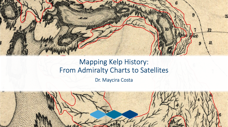 FBCArchives's tweet photo. We know archives help us tell stories about human history—but what can they tell us about ecological change over time?
In our latest video, Dr. Maycira Costa shows how historic charts reveal changes in BC's kelp forests🦦🤿
Check it out👉https://t.co/YsokVgaxdi #bcenv #cdnenv https://t.co/d59SRaxOm2