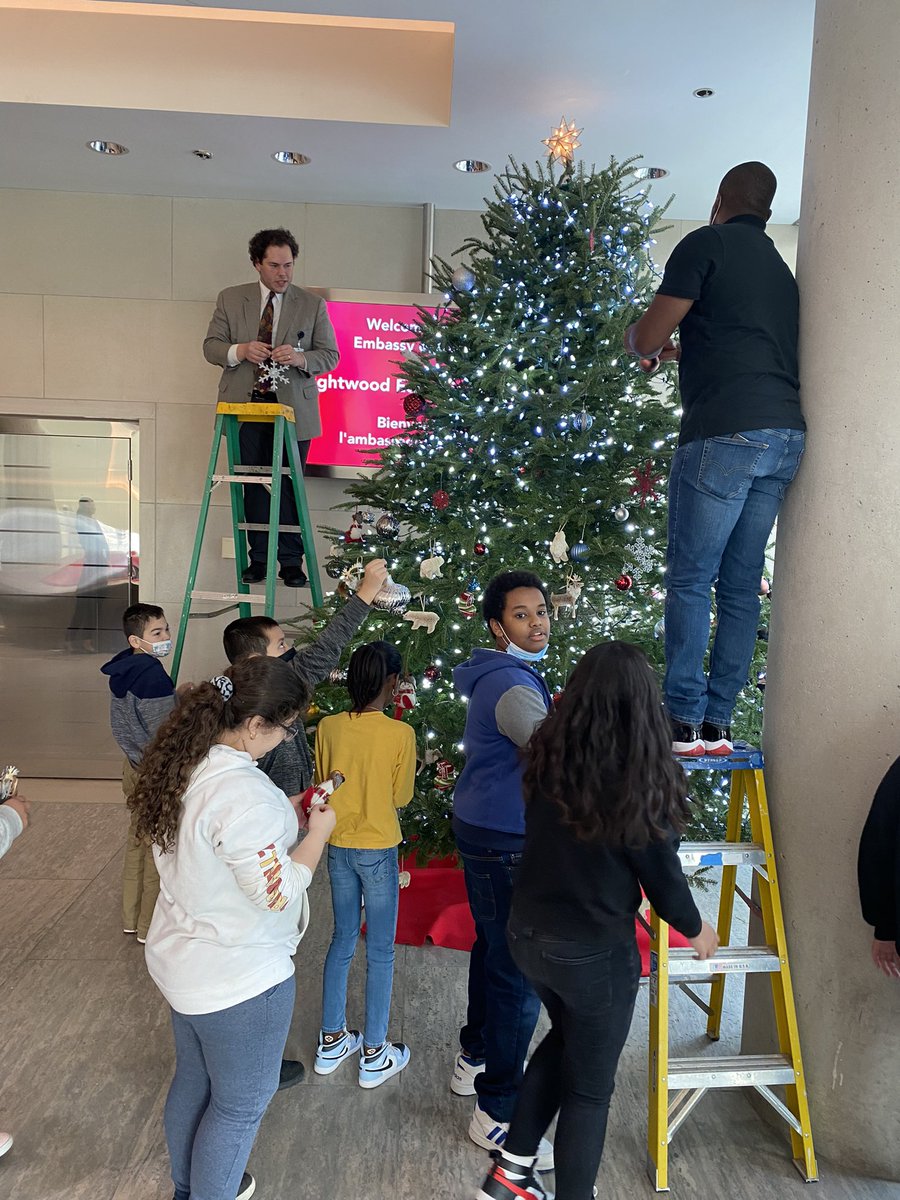 Liz Andrews tweet media