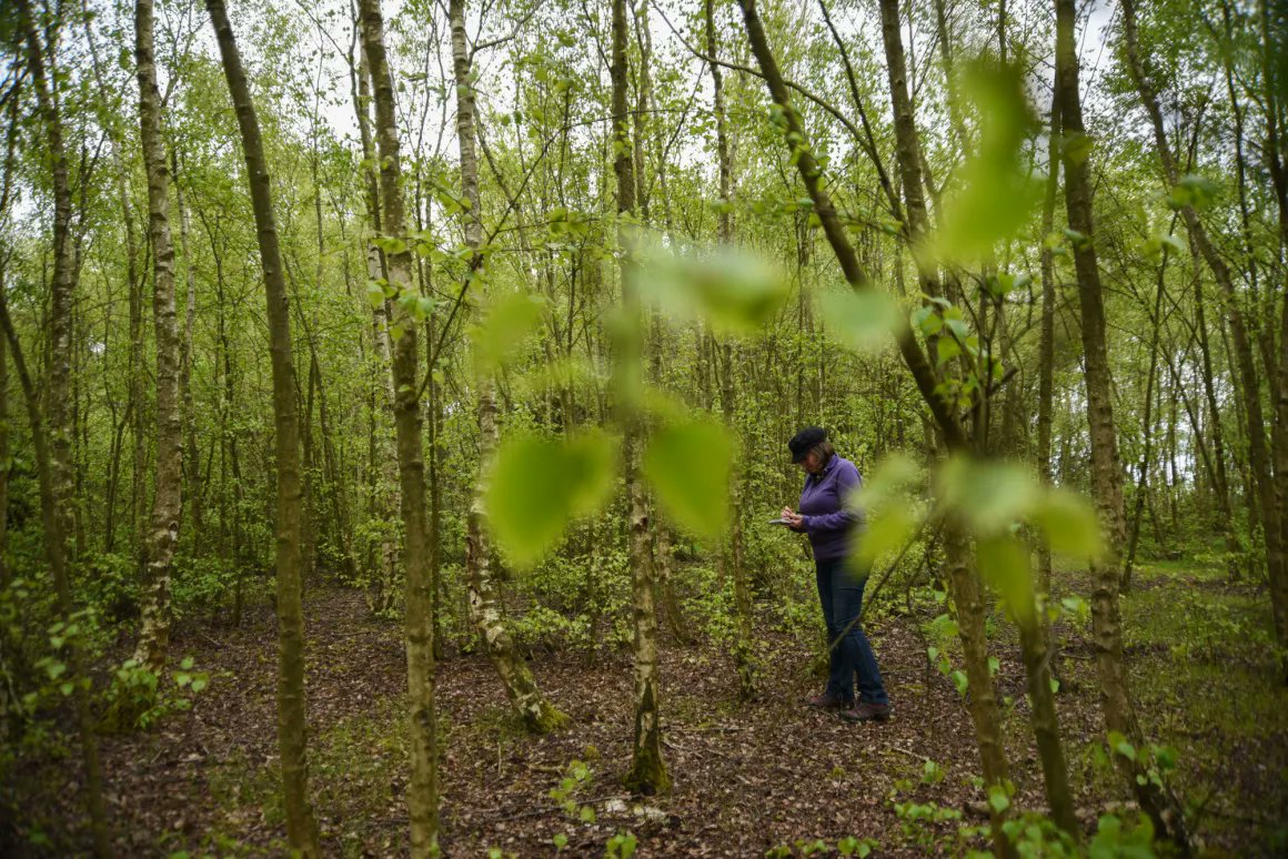 Check out the short films we've gathered for <a href="/Reweirding_/">Reweirding:</a> 's Women and Walking event. And book yourself a ticket ready for tomorrow at <a href="/amershamarms/">The Amersham Arms</a> 
videostrolls.com/2022/12/05/rew…