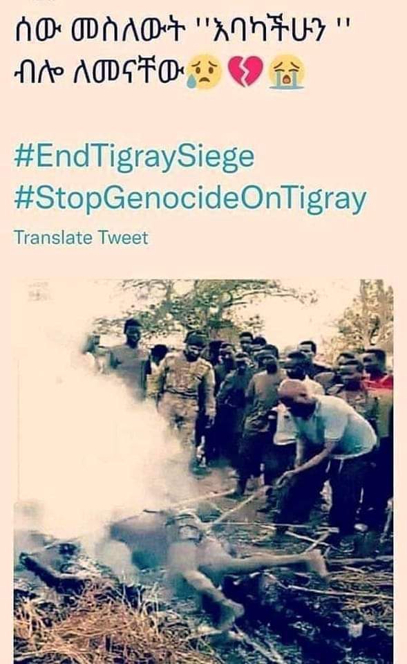 gal_lilie's tweet photo. 📌a documentaryon the on-going #TigrayGenocide byRomanDebotch is coming toDenver Sunday,November13! Watchwithus as thefilmgoalis to spread awareness onthecivil war&amp; humanitarian crisis.Allfundswillbe donated!https://t.co/Cf3GrnuT5j #2YrsTigrayGenocide #EndTigraySiege😭💔🥲 https://t.co/s6Yl5LIuag