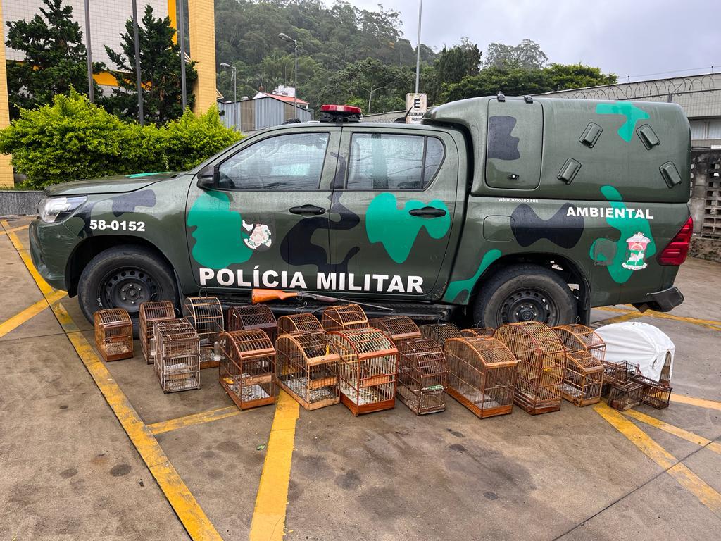 PMERJ's tweet photo. Policiais da #5UPAm apreenderam 30 pássaros da fauna silvestre e uma espingarda, em São Pedro da Serra - #NovaFriburgo. Ocorrência foi encaminhada à 151ª delegacia da @PCERJ
.
#SempreAtuantes #ServireProteger https://t.co/5xHXDa7NTD