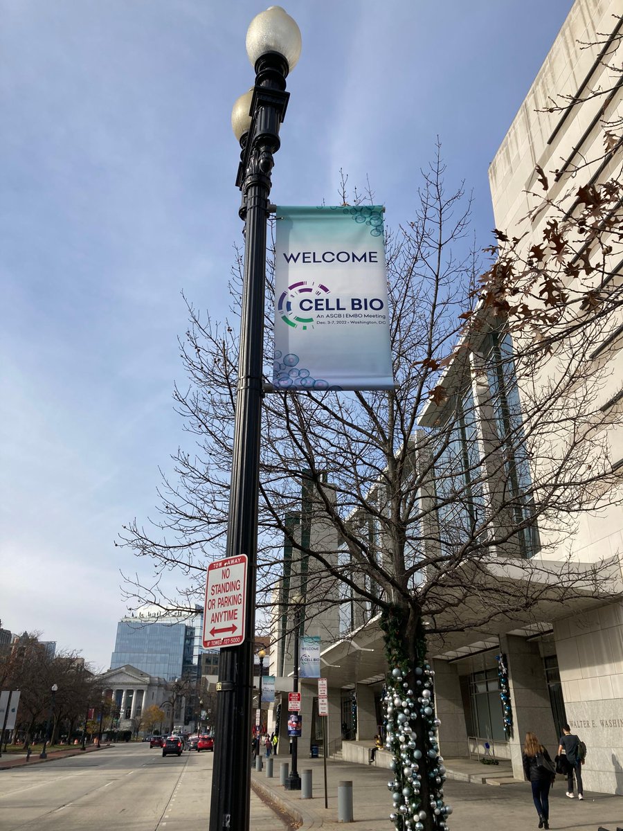Biochem_Journal's tweet photo. Weβve been attending exciting sessions on the nuclear envelope & mechanobiology to condensates, to mitochondria & metabolism this weekend at @ASCBiology #CellBio2022. #BiochemJ is interested in your mechanistic research, find out more & submit your work! https://t.co/I95RKKoemc https://t.co/1OtNFnkGrX