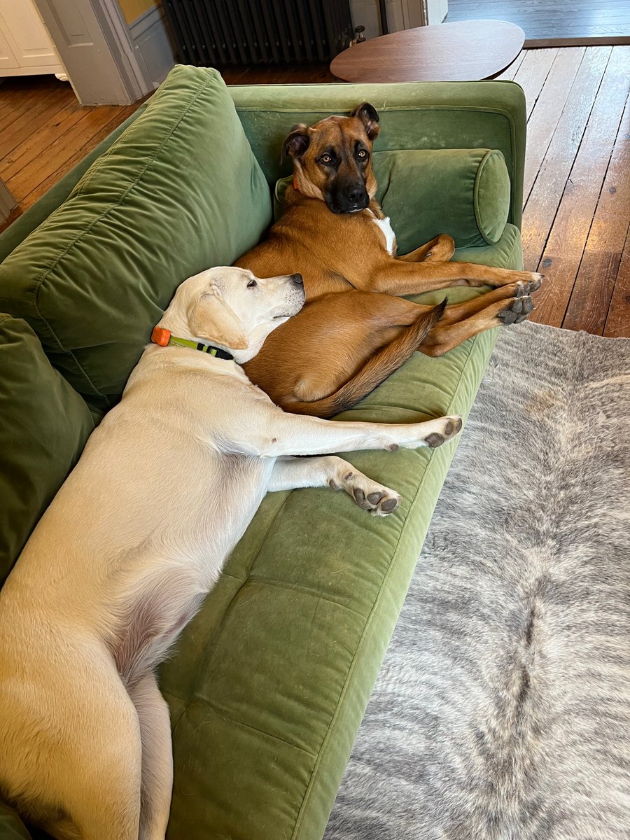 I'm sorry, but what the fuck is this shit right here?

#iamnotapillow