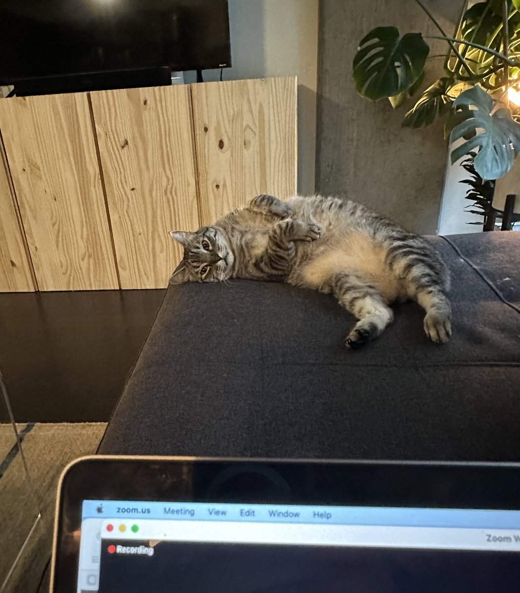 derrbear9's tweet photo. @airmarietta The laziest coworker https://t.co/4dEvlaWS8t