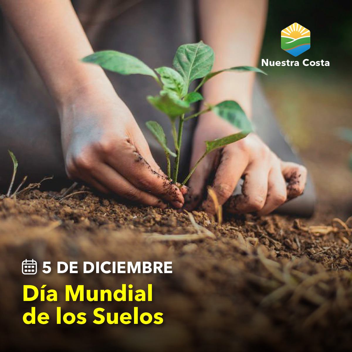 Nuestra Costa tweet media