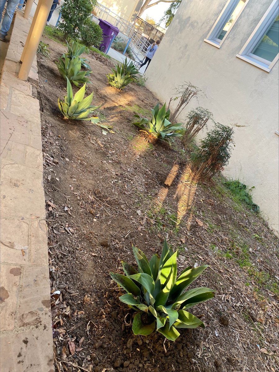 Edward Steinhauser tweet media