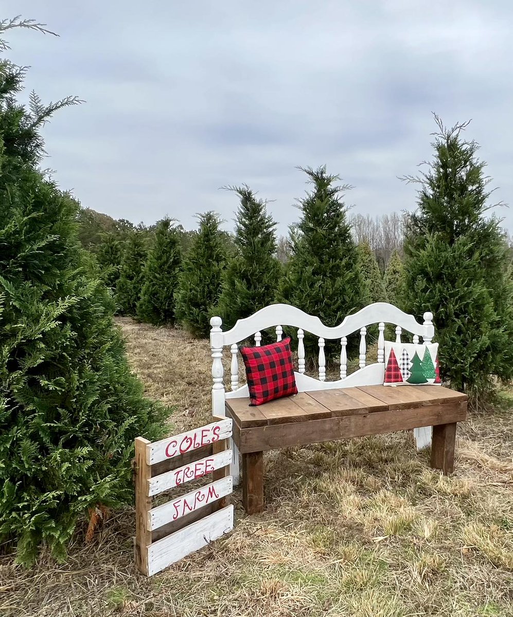 WedoweeRealtor's tweet photo. It's beginning to look a lot like Christmas! If you haven't already, take a trip to Cole's Christmas Tree Farm to pick up your own. 🎄https://t.co/UtokzlkAsp 

📷| @coleschristmastreefarm
#Christmastree #lakewedoweealabama https://t.co/nfjljUBYHJ