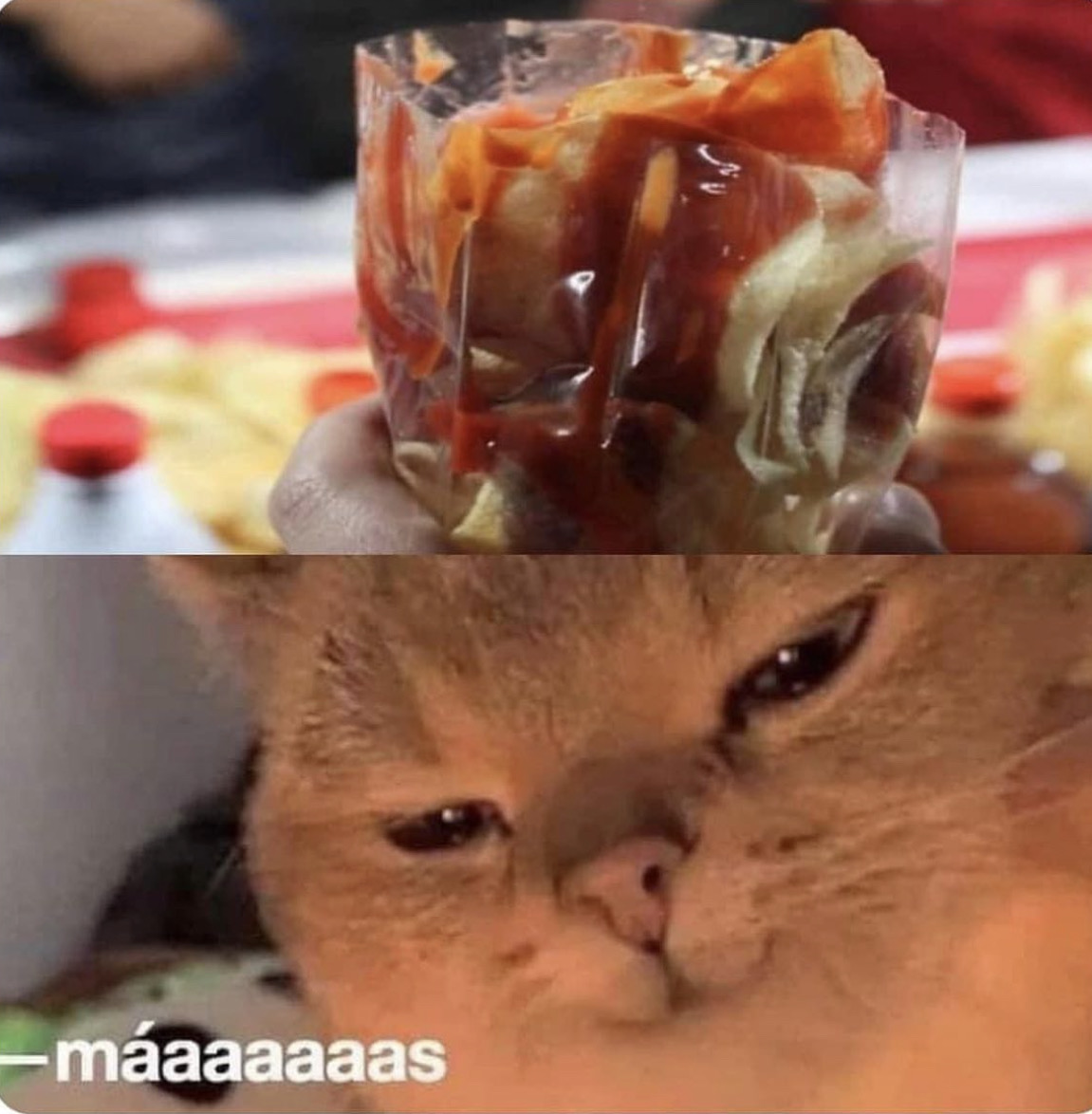 El Guarromántico tweet media