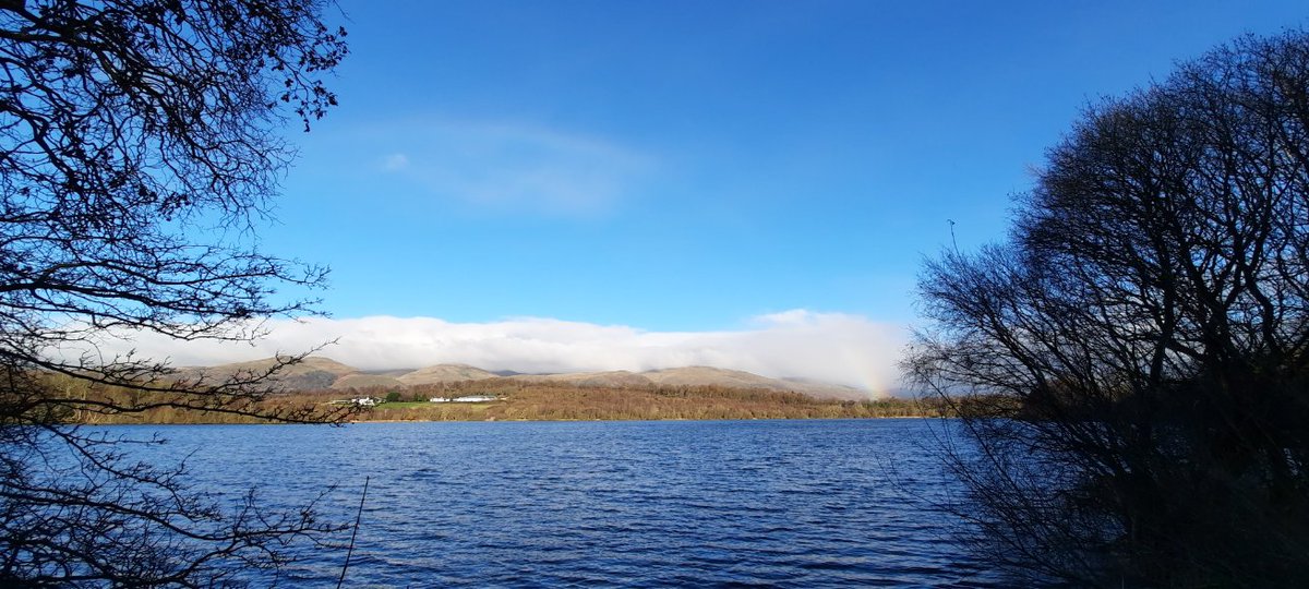 finbarquin's tweet photo. Everything sparkling in winter sunshine this morning at Gartmorn Dam.
@ThePhotoHour
@StormHour
#GartmornDam
#trulybaltic 🥶
#muddypaths https://t.co/Ded5kAxNnV