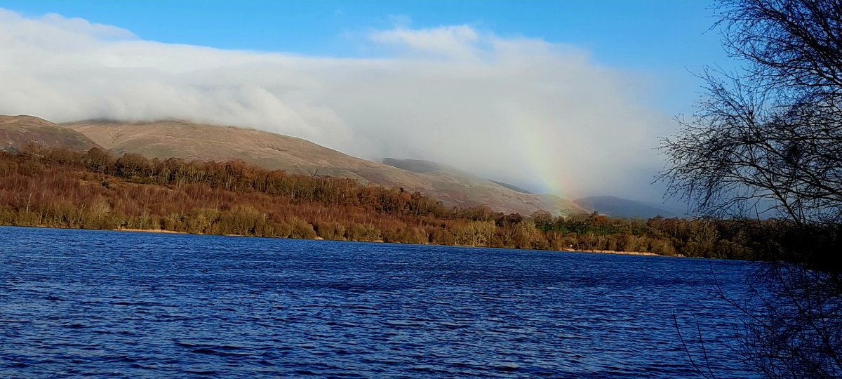 finbarquin's tweet photo. Everything sparkling in winter sunshine this morning at Gartmorn Dam.
@ThePhotoHour
@StormHour
#GartmornDam
#trulybaltic 🥶
#muddypaths https://t.co/Ded5kAxNnV