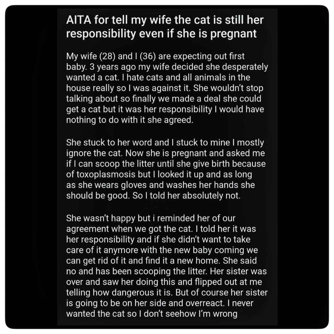 Shaking My Head Meaning In Spanish