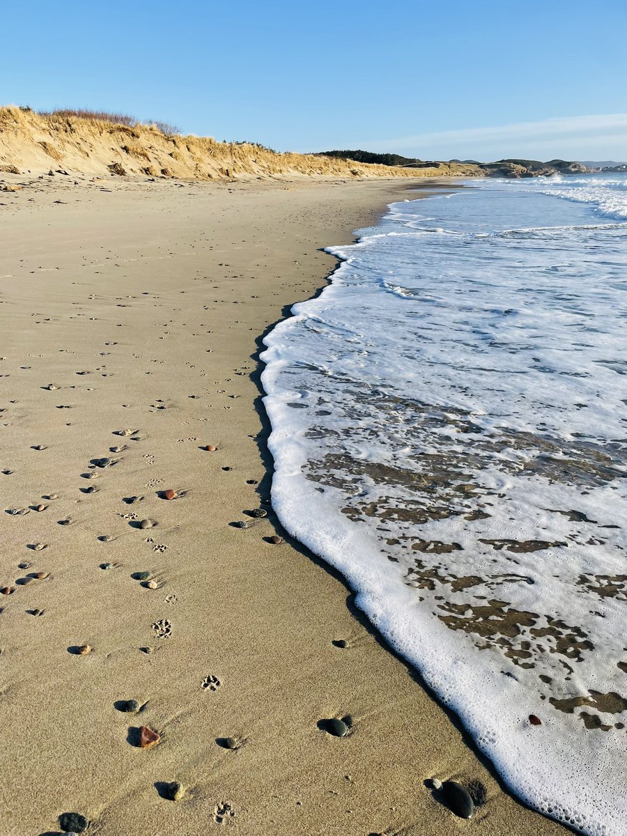 valene_roach's tweet image. December in Burgeo! We’ll take it :) ☀️#SandbanksProvincialPark #weatherphoto @NLtweets @EddieSheerr @weathernetwork