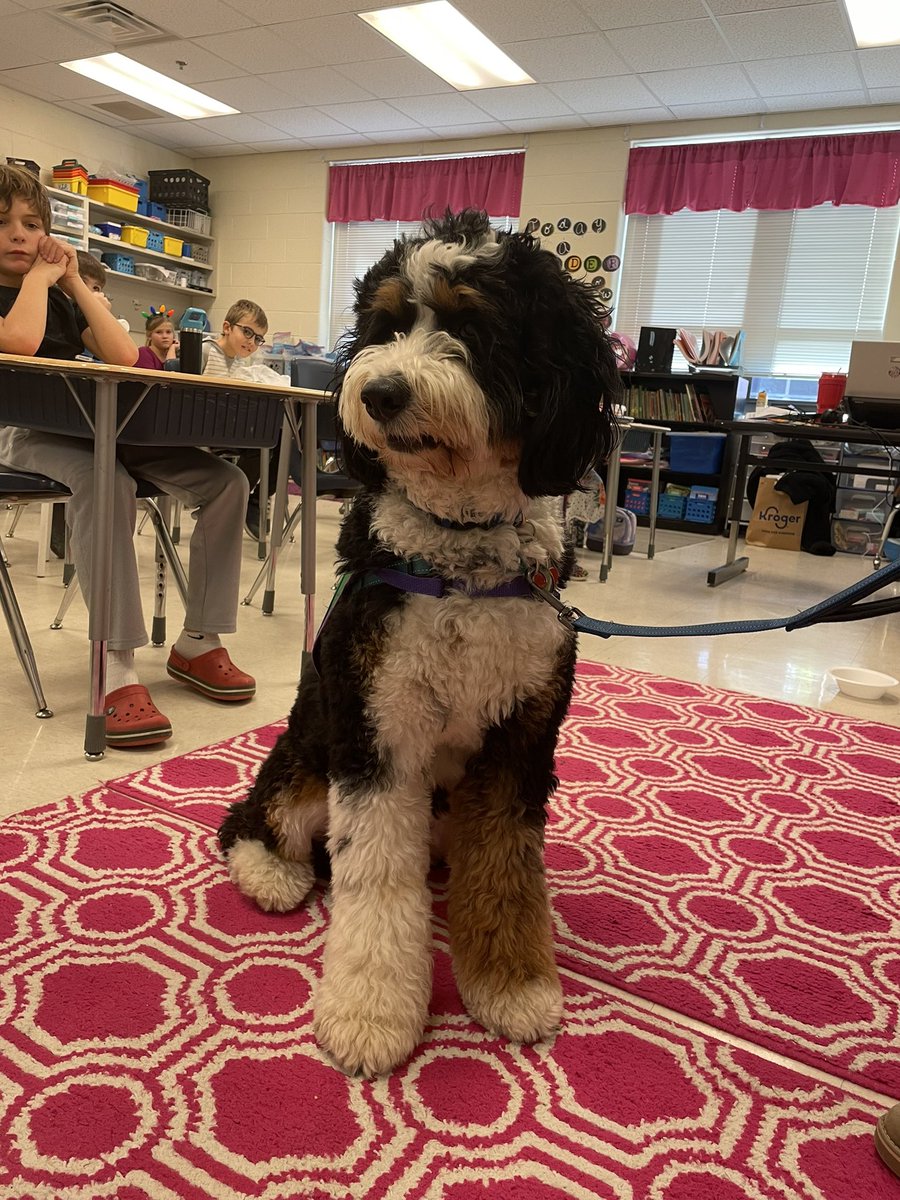 Rae Clune tweet media