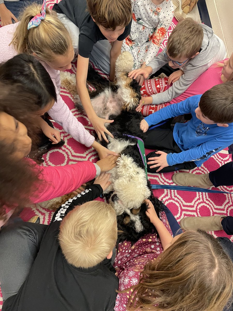 Rae Clune tweet media