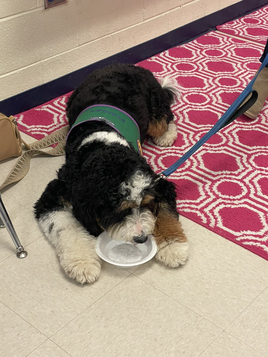 Rae Clune tweet media