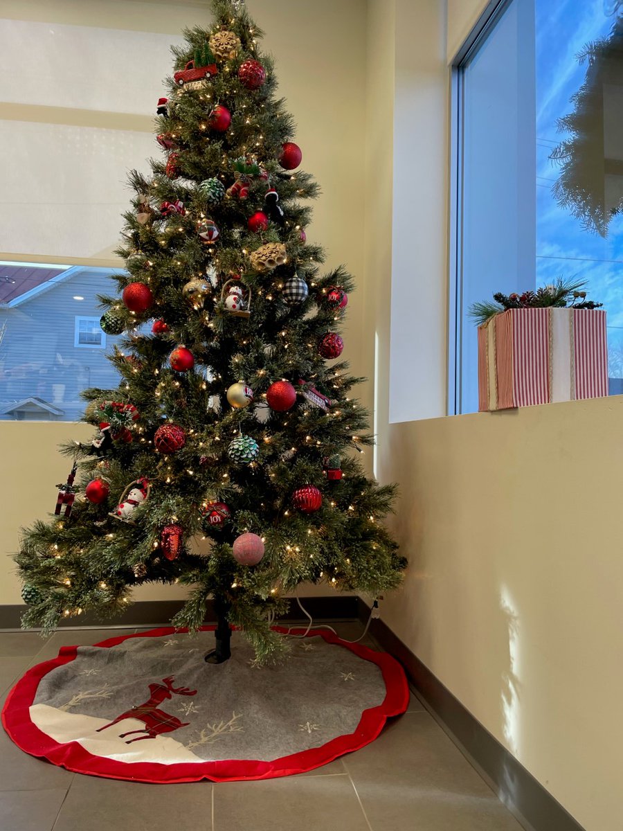 KingstonNationalBank on Twitter "How about the tree in our Kingston