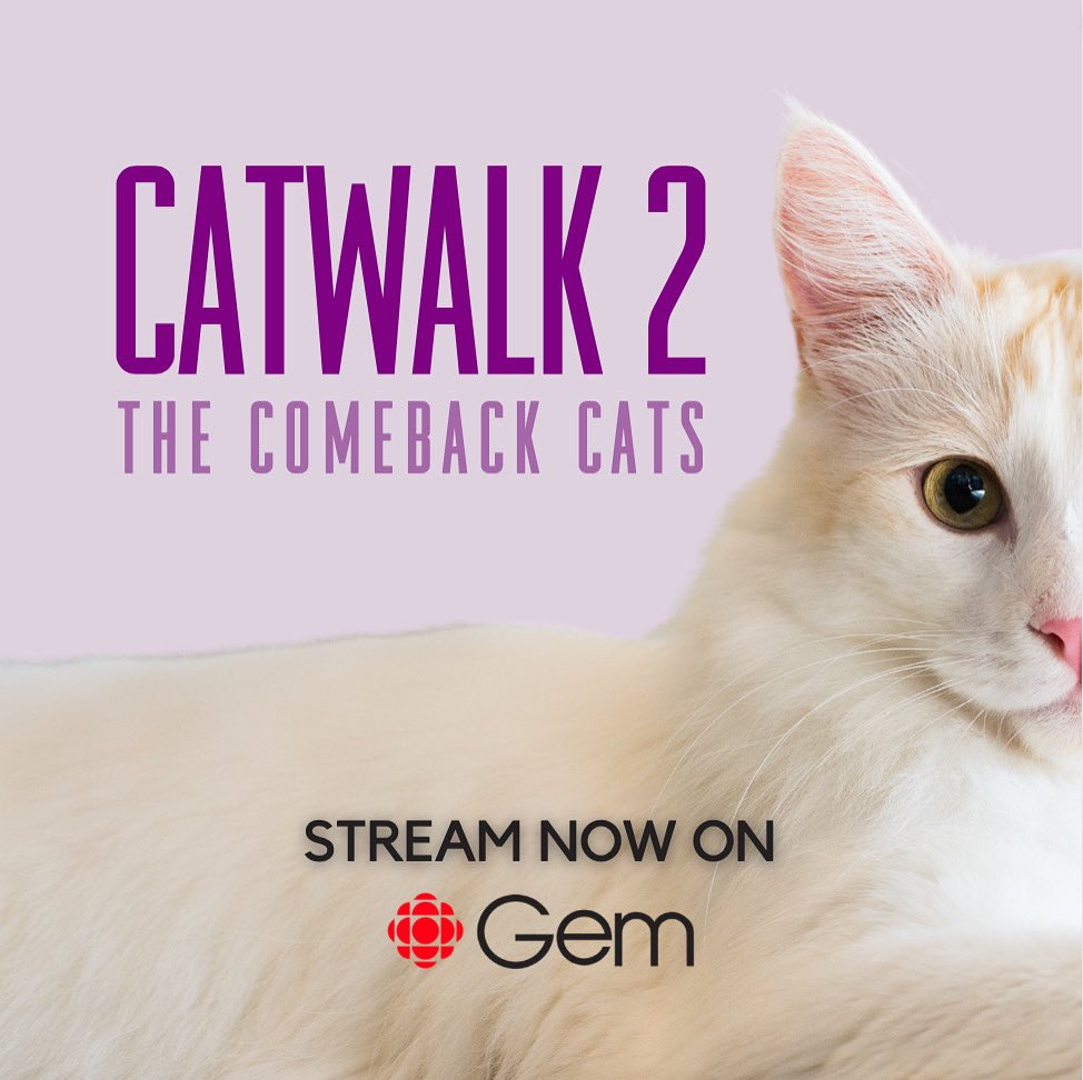 If you missed the broadcast last Friday don’t worry! You can stream both Catwalk movies anytime on <a href="/cbcgem/">CBC Gem</a>. ☺️😻