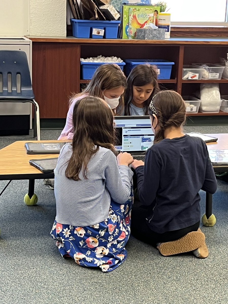 Rachel DiSanto tweet media