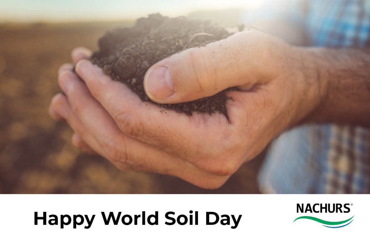 NACHURS's tweet photo. Happy World Soil Day! Healthy and sustainable soil is how we continue to feed the world!
#NACHURS #WorldSoilDay #4RNutrient
https://t.co/HJlBVsnwhT https://t.co/Kzf6kV1xIa