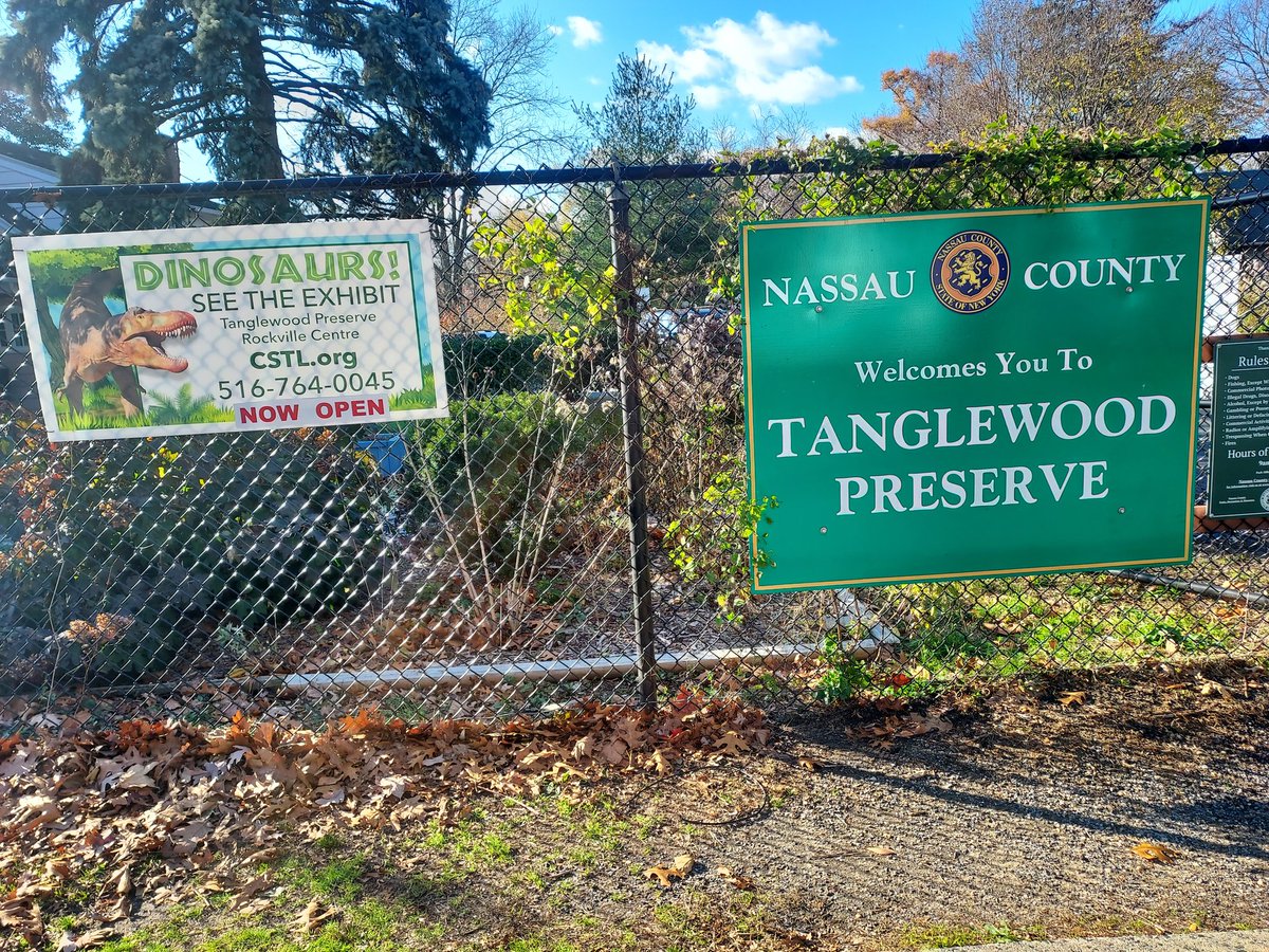 If you ever find yourself on the lovely Tanglewood Preserve in Rockville Centre, be sure to stop by the exhibit for a family-sized dinosaur adventure! 🦖🦕

#tanglewood #cstl #centerforscience #naturepreserve #hikingtrails #longislandnature #dinosaurs #newyorkmuseum #exhibition