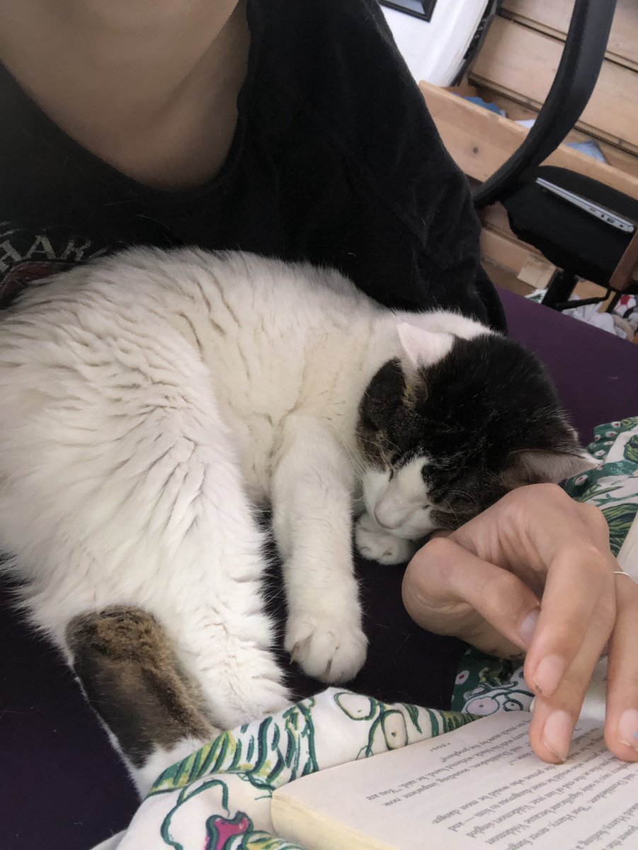 cowboyjack69's tweet photo. @SkinnyTuna Here’s Monkey https://t.co/irNbaQHPxn