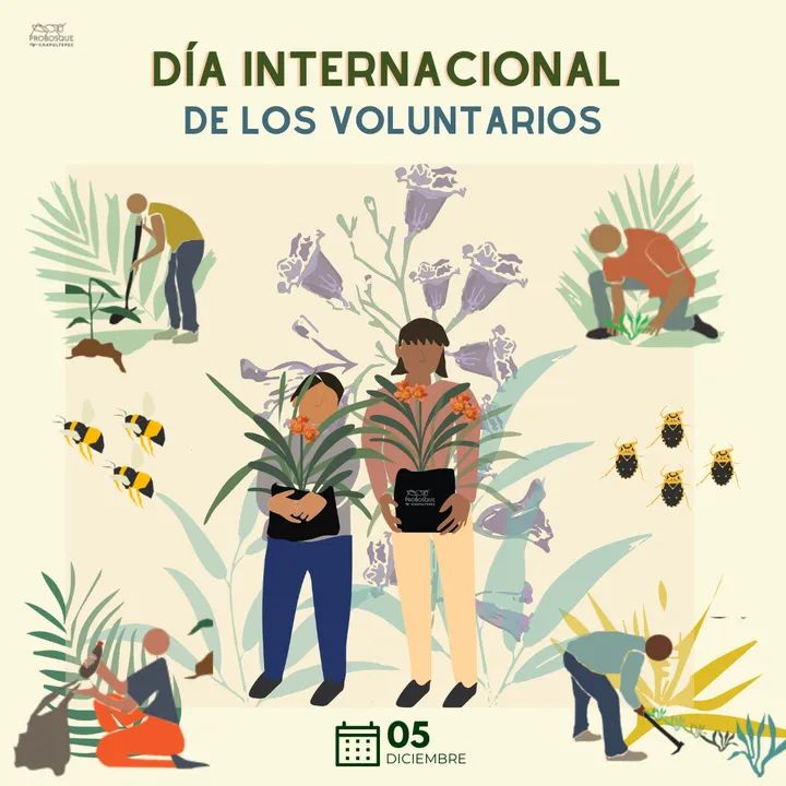 gjlh80's tweet photo. Hoy se celebra el Día Internacional de los Voluntarios. Este año, en nuestras jornadas, nos enfocamos en aumentar las áreas verdes con plantas de ornato para atraer polinizadores, ya que son primordiales para la reproducción de las semillas.
#ProBosqueChapultepec https://t.co/fprM6oDWYN