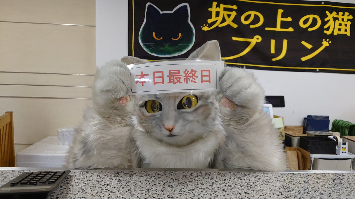 プリン専門店 坂の上の猫 源田 晃一 公式 Sakanouenoneko1 Twitter