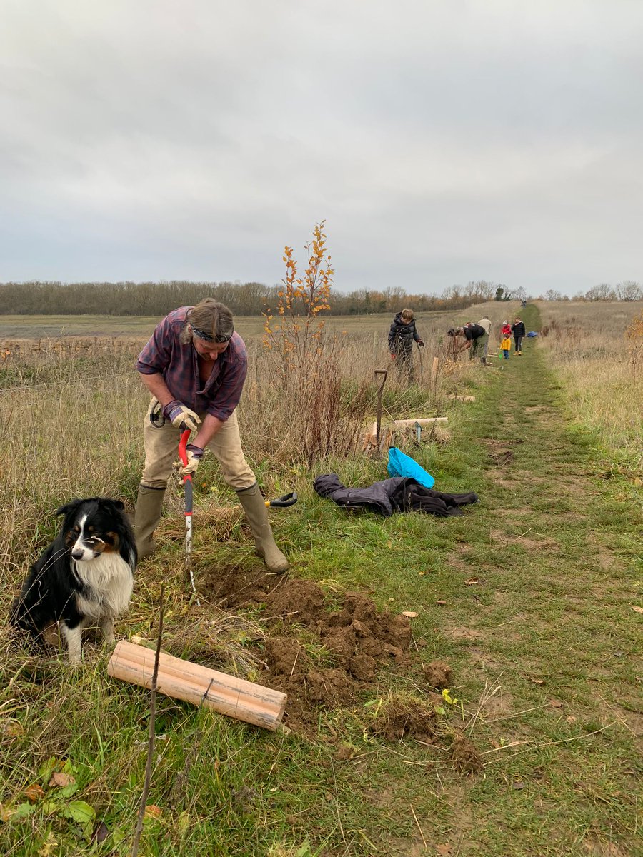 GreenKetton's tweet photo. Many thanks to all the hardy volunteers who planted 70 fruit trees along the edge of Ketton quarry yesterday, including wild pear, wild plum, wild apple &amp; wild service. Will be great for both people and wildlife 👍🌳 #NationalTreeWeek @kettonnews https://t.co/lQtyqHF3xF