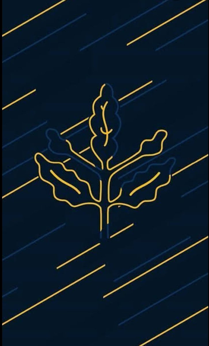 fahridurdu's tweet photo. @TekYolFener Tek Yol FenerBahçe https://t.co/MXZXRT4E8Q