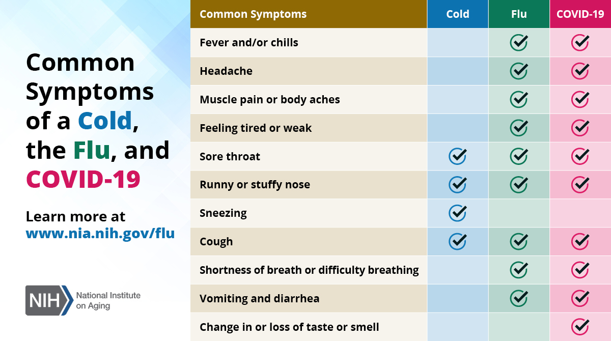 Infographic: Commons symptoms of a cold, the flu, and COVID-19