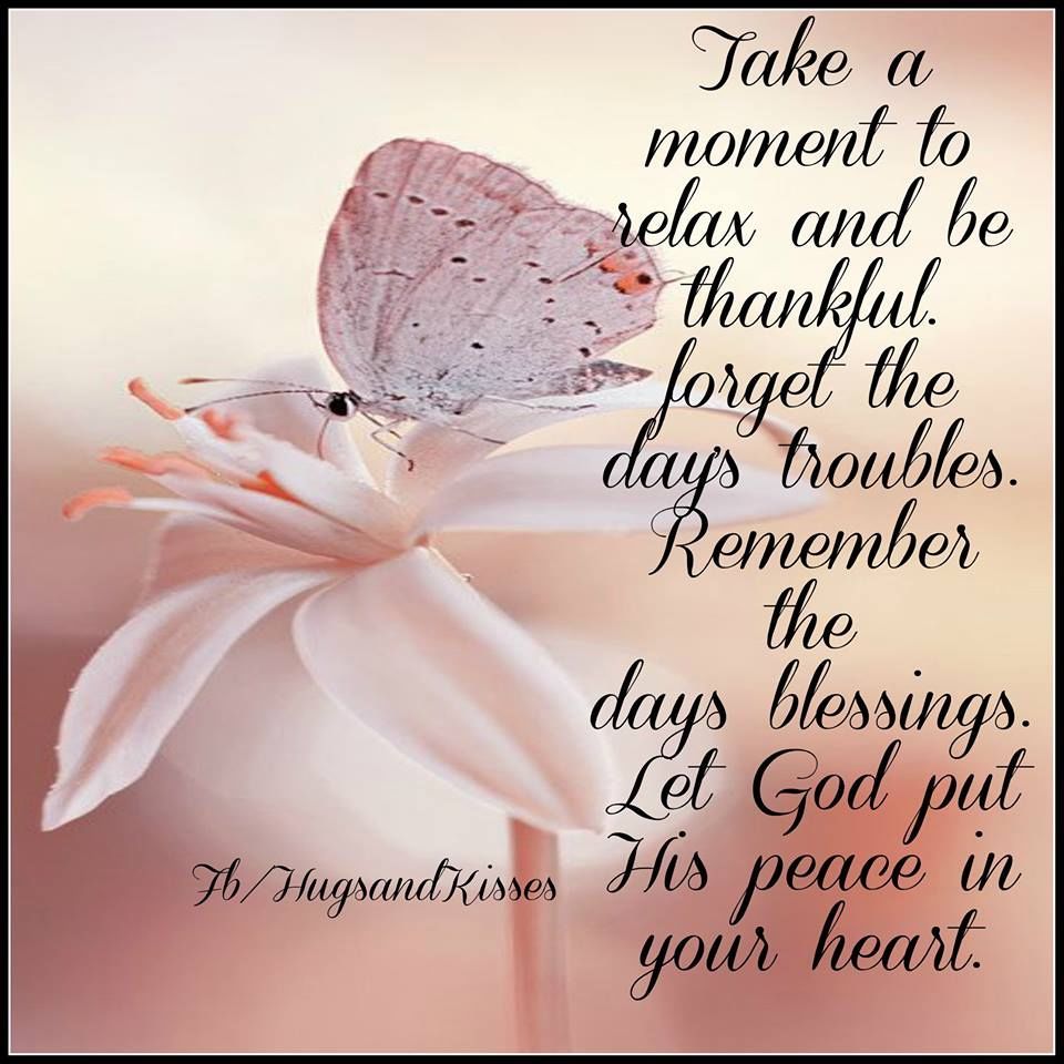 Real Marsha Wright® tweet media